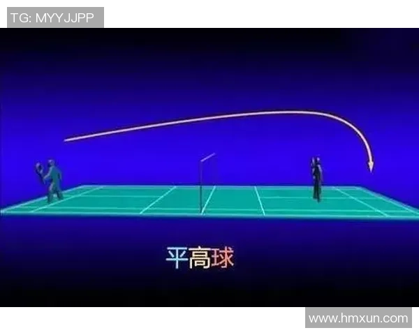 武汉羽毛球队战术解析：灵活转换体系的应用与实践探讨